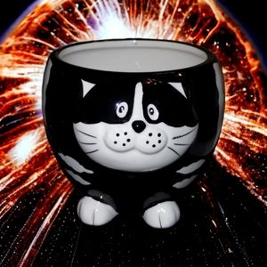 Vintage Chester the cat mug~from Alice in wonderland